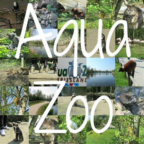 aqua zoo ohsobeautiful