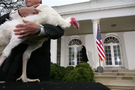 on what charges the history of the presidential turkey pardon farm