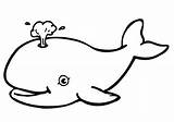 Whale Coloring Pages Blue Printable Kids Colouring Cute Jonah sketch template