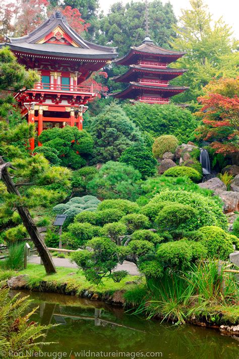 japanese tea garden golden gate park san francisco california