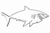 Shark Bruce Coloring Pages Nemo Finding sketch template