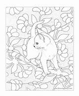Coloring Adult Pages Bluecat Books Hamilton sketch template