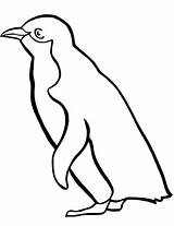 Pinguin Ausmalen Silueta Pingüino Siluetas Ausmalbilder Ausmalbild Pinguino Penquin Pinguine Ausdrucken sketch template
