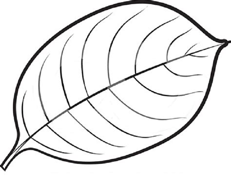 coloring pages leaves clipart