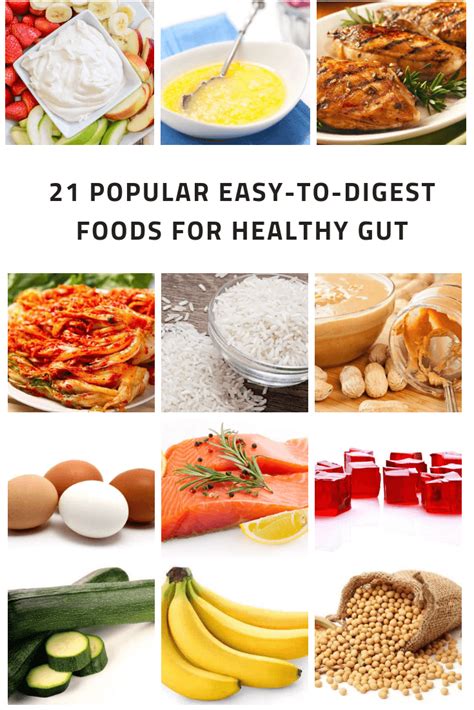popular easy  digest foods  healthy gut   tasty easy