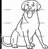 Labrador Coloring Pages Lab Puppy Retriever Chocolate Dog Getcolorings Printable Getdrawings Drawing Color sketch template