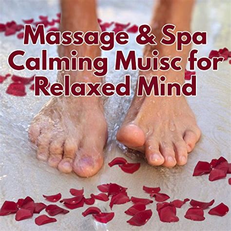 Spiele Massage And Spa Calming Muisc For Relaxed Mind Zen Garden