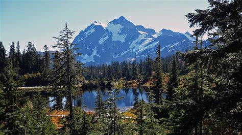 pacific northwest forest wallpapers top  pacific northwest forest backgrounds