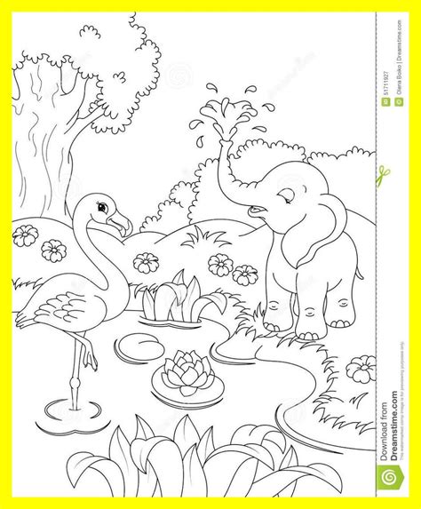 nature animal coloring pages wild animal coloring pages