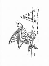 Coloring Fish Flying Pages Recommended sketch template