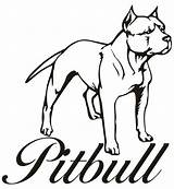 Pitbull Amstaff Pitbulls Bestcoloringpagesforkids Pittbulls Chiens Canecorso Tribales Clipartmag Neocoloring sketch template