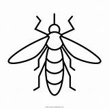 Mosquito Colorear Mosca Ultracoloringpages Ultra sketch template