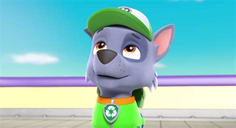 Image Paw Patrol Pups In A Fix Rocky 2 Png Paw Patrol