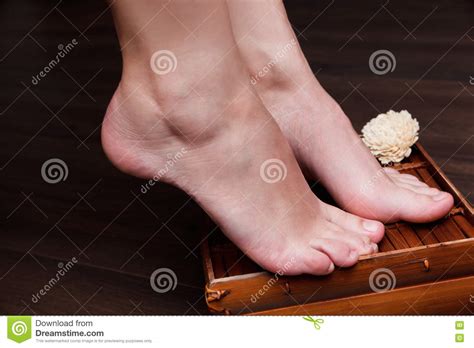 Closeup Of A Beautiful Pedicured Woman Feet Stock Image Image Of