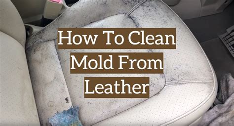 clean mold  leather easy method leather toolkits