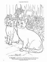 Coloring Pages Cat Dover Books Book Nature Lilac Chinchilla Amazon Lovers Getdrawings Getcolorings Printable Gemerkt Von sketch template