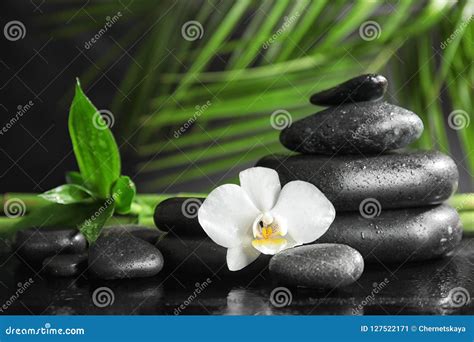 spa stones  orchid flower  bamboo leaves stock image image