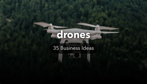 drone business ideas nichesss