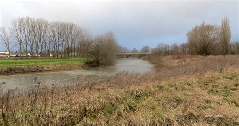 hochwasser  der leine foto bild landschaft bach fluss