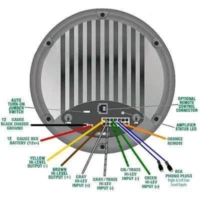 bazooka el bass tube wiring diagram wiring diagram pictures