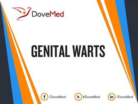 genital warts