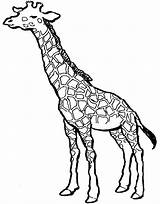 Coloring Giraffe Pages Printable Kids Simple Animal sketch template