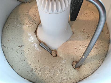 is my yeast dead how to tell if your yeast is dying
