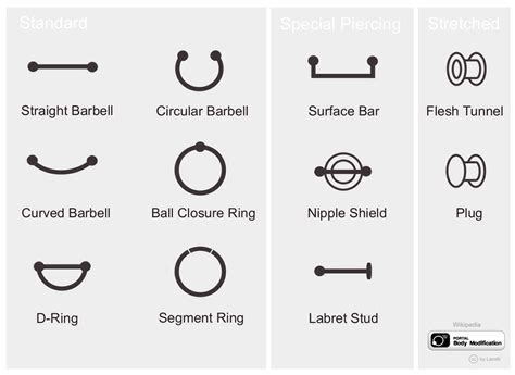 types of piercings musely