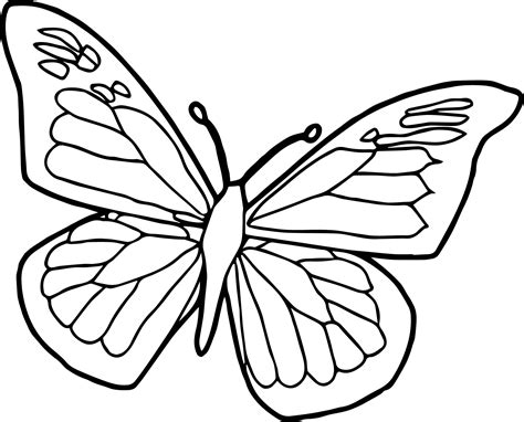 simple butterfly drawing    clipartmag