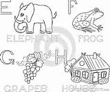 Alphabet Coloring Grapes Elephant Frog House Stock Vector sketch template