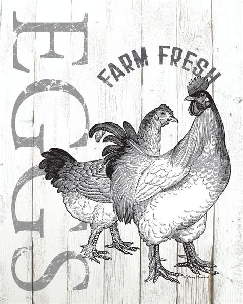 farmhouse kitchen wall decor chicken rooster farm fresh organic eggs