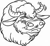 Bison Coloring Pages Buffalo Boys Head Wildlife Animals Getdrawings Drawing sketch template