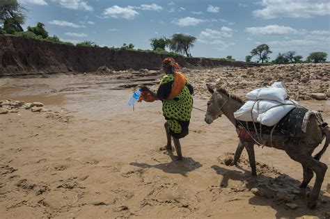 Drought In The Horn Of Africa Points To A Need For Long Term Solutions