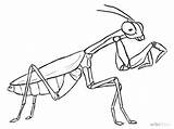 Mantis Praying Coloring Drawing Draw Insect Line Pages Drawings Google Dibujo Sketches Dibujos Search Para Religiosa Wikihow Getcolorings Dibujar Outline sketch template