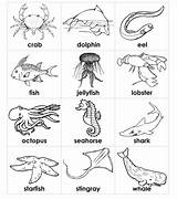 Animals Coloring Sea Pages Ocean Water Land Animal Preschool Printable Print Creatures Color Creature Kids Sheets Drawing Worksheets Prints Activities sketch template