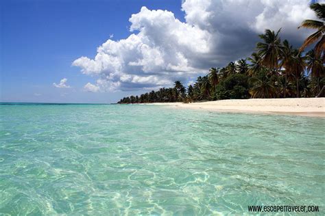 Saona Island In The Dominican Republic Best Places To