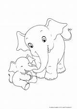 Elefante Colorare Elefanti Bambini Animali Outline Colora Scegli Siwagner sketch template