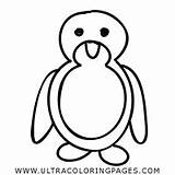 Pinguim Pingouin Pinguino Ultracoloringpages sketch template