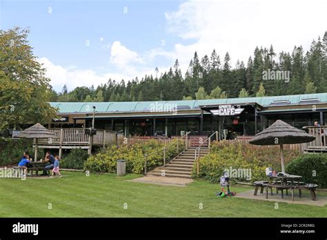 sports cafe sports plaza center parcs longleat forest warminster wiltshire england great