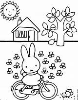 Coloring Miffy Musti Kinder Kids Auswählen Pinnwand Malvorlagen Für Pages Template sketch template