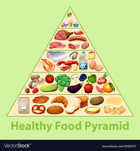 healthy food pyramid chart royalty  vector image