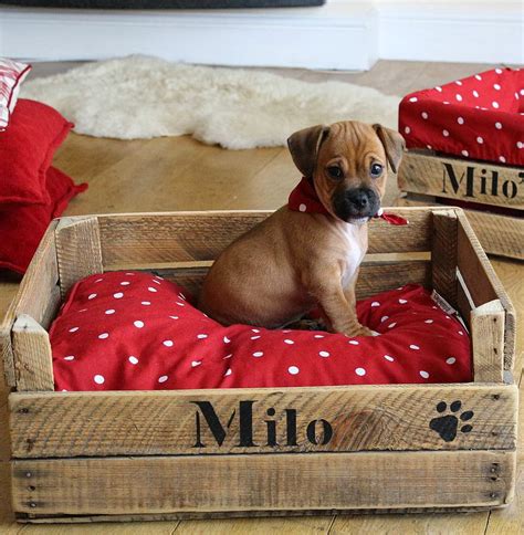 robin sparkles blog luxury dog beds article