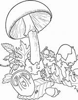Mushrooms Pilze Mushroom Blumen Champignons Schirm Grossem Champignon Malvorlage Ausmalbild Colorier Coloriages sketch template