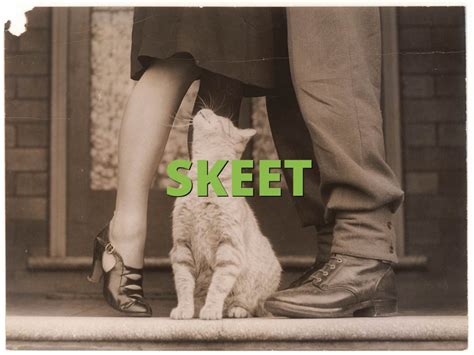 skeet what does skeet mean