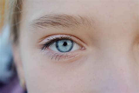 blue eyes genetic  experts  trusted