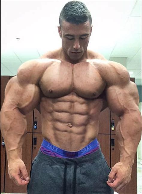 muscle morphs  hardtrainer men fantasy pinterest muscles  male bodybuilders
