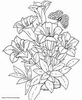 Bouquet Coloring Pages Getdrawings sketch template
