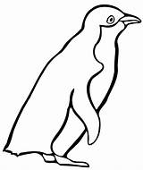 Pinguim Penguin Penguins Poplembrancinhas sketch template