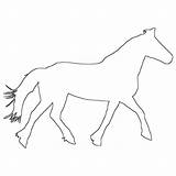 Horse Walking Coloring Outline Unique Pages sketch template