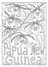 Guinea Papua Colouring sketch template